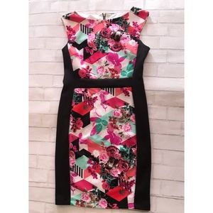 Bisou Bisou Floral Graphic Abstract Dress 12 NWOT